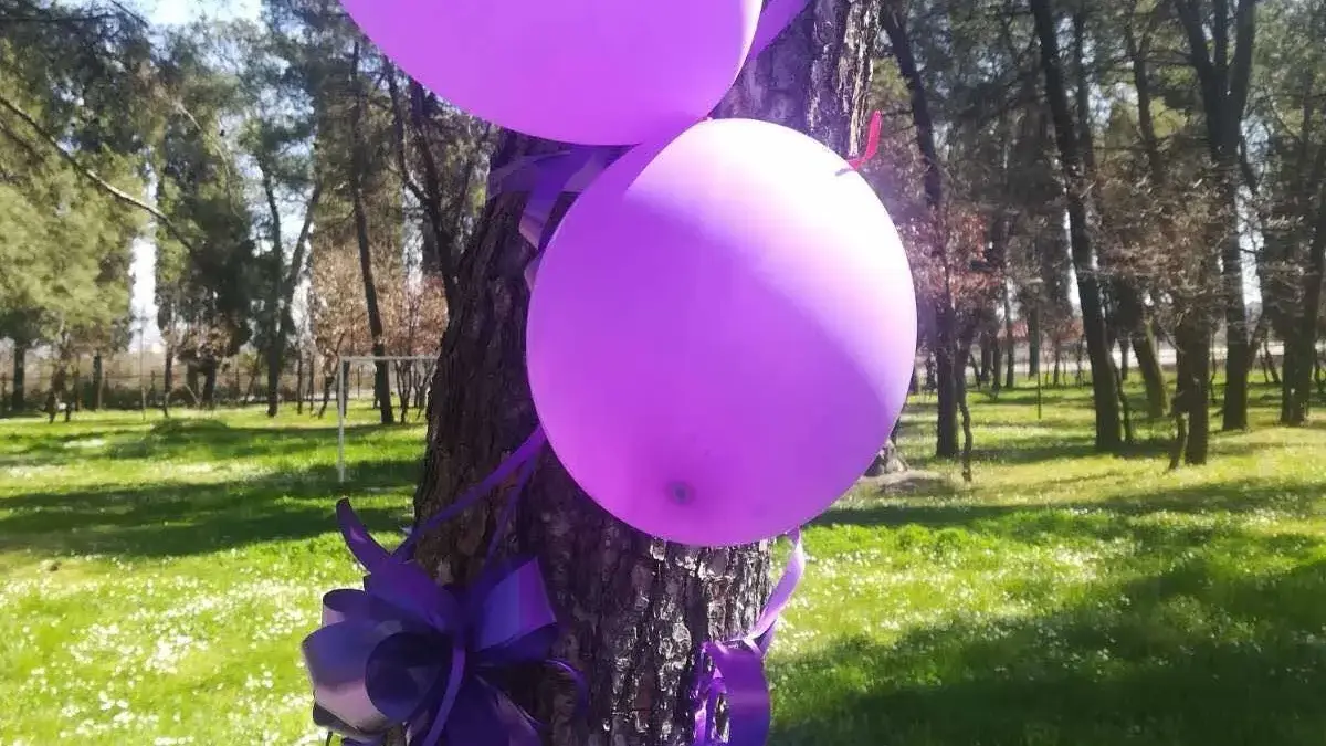 336378356 604833951198563 3129121823916228781 n