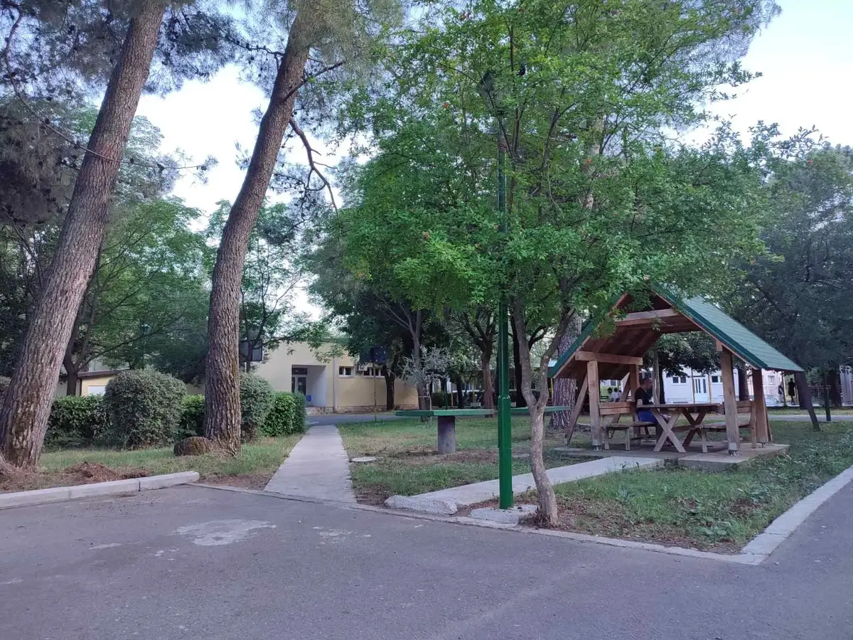 Img 2e49a81be99c878e819d2d442e82a8b2 v