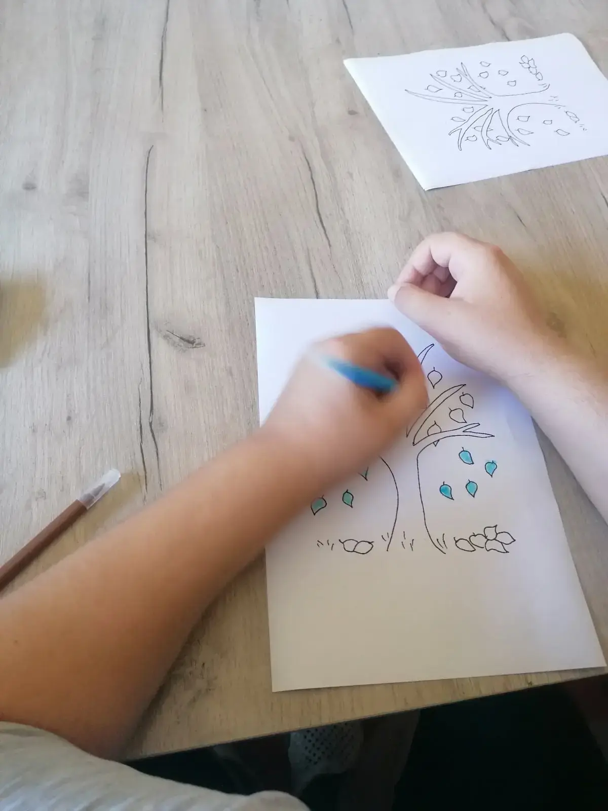 357549204 3519168401684794 3570771551549528788 n