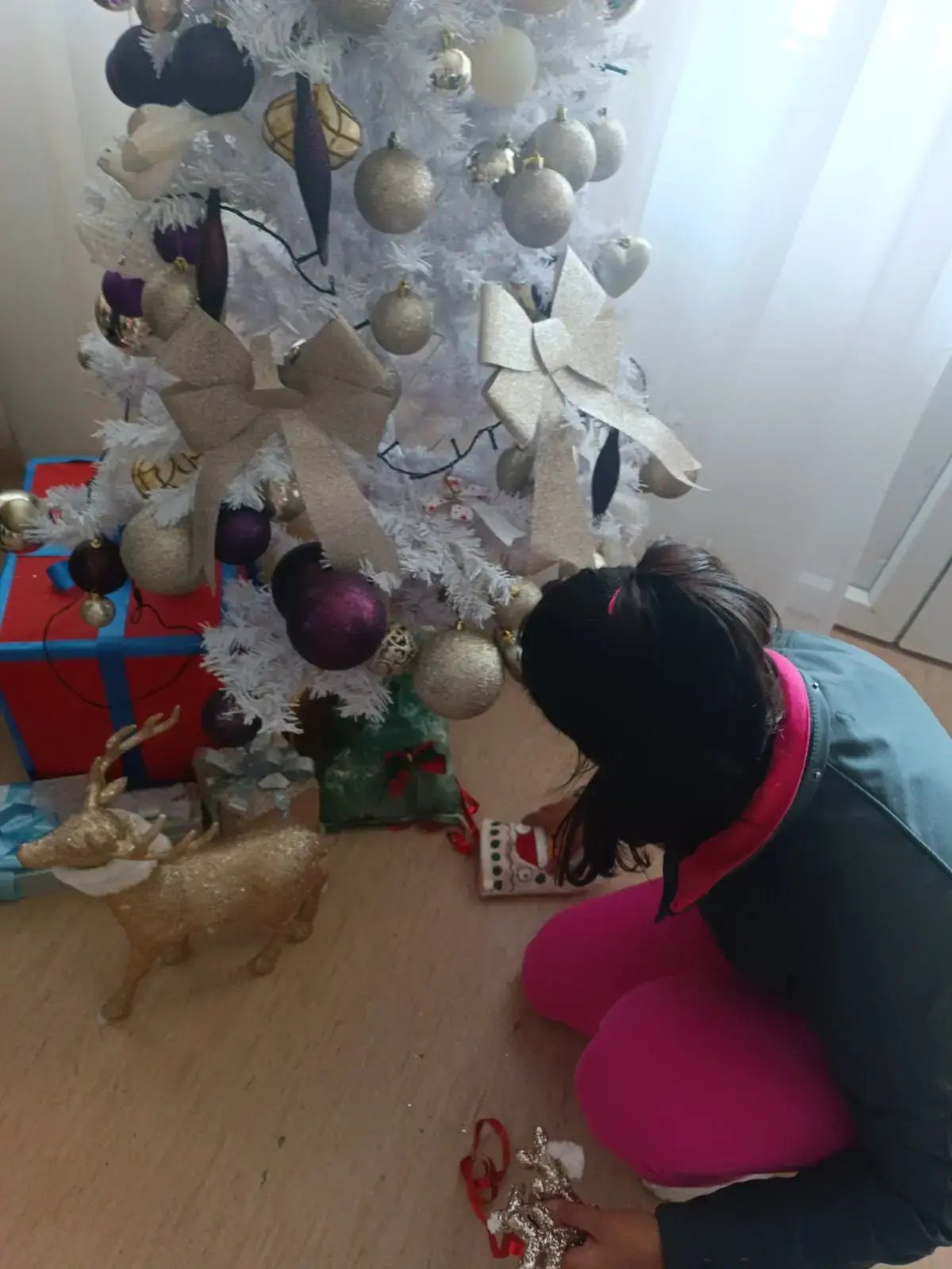 409955585 3610158589252441 4025662713980992880 n
