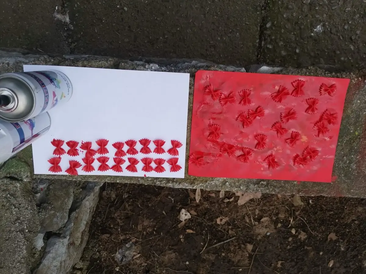 494330075 4032391013695861 3422009259029695389 n