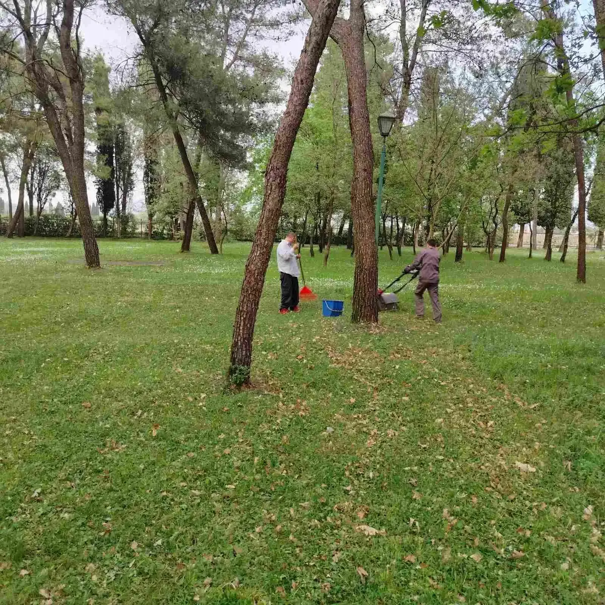 683591275 4399879303613695 7570682448815485494 n