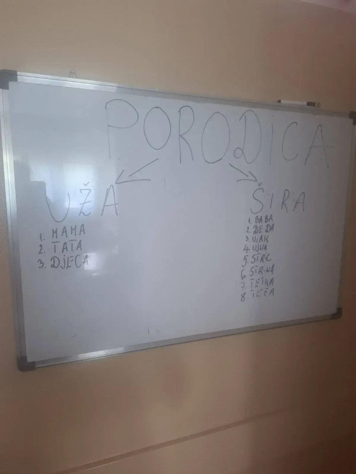 707713955 4429504277317864 8888131619219290234 n