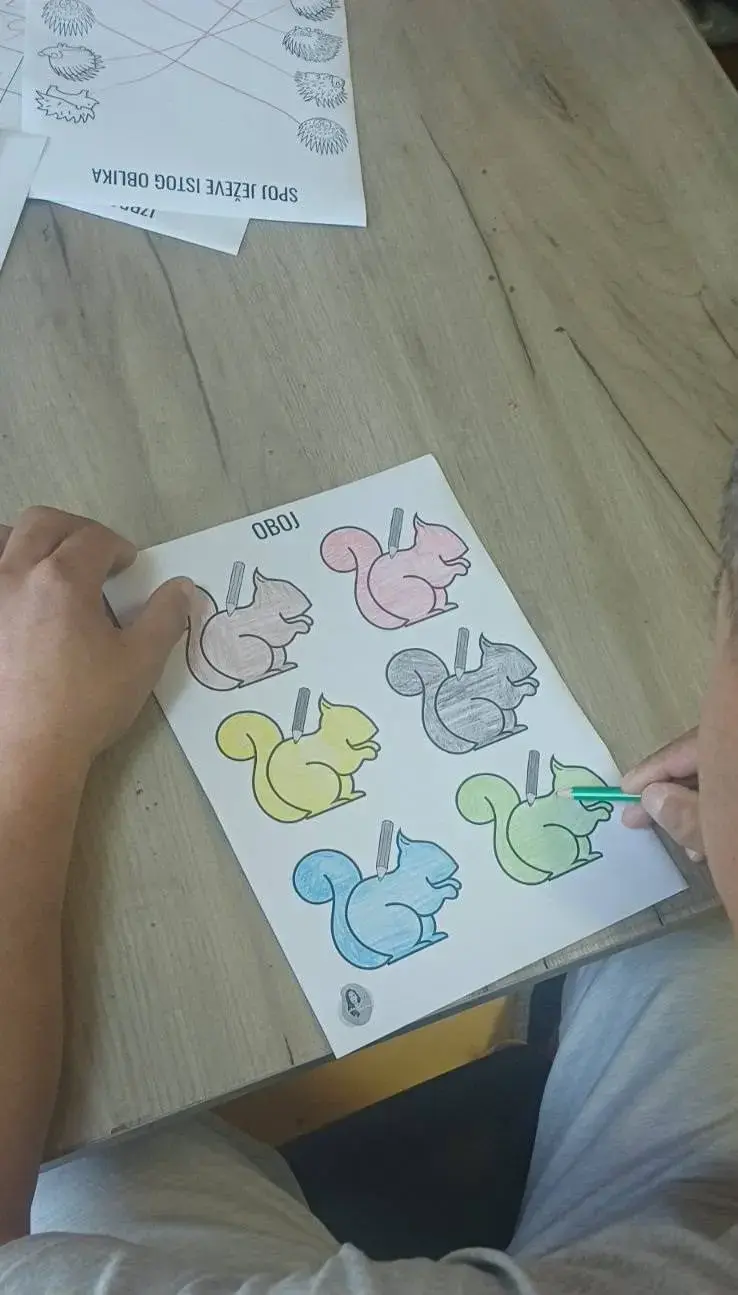758677193 4497059397229018 2753484546978371876 n