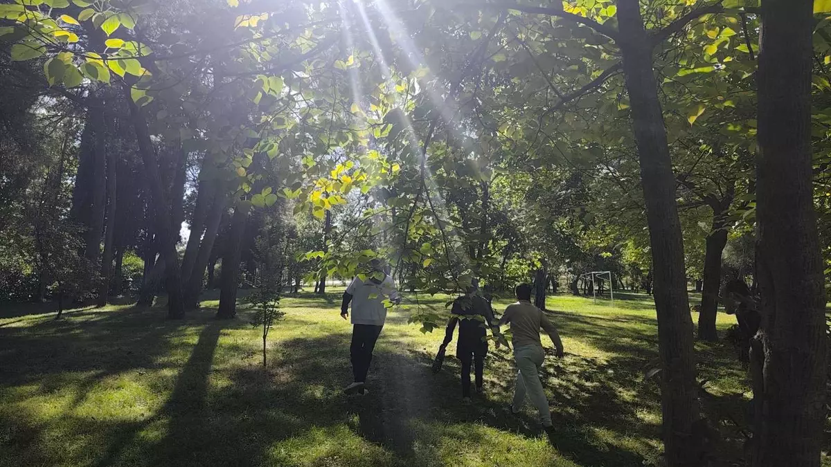 566197975 4204456876489273 3325289833234845163 n