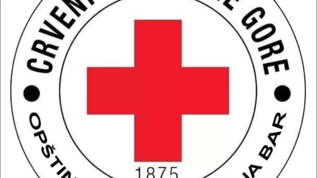 647002872 4345207449080881 151494734861791067 n 1 1