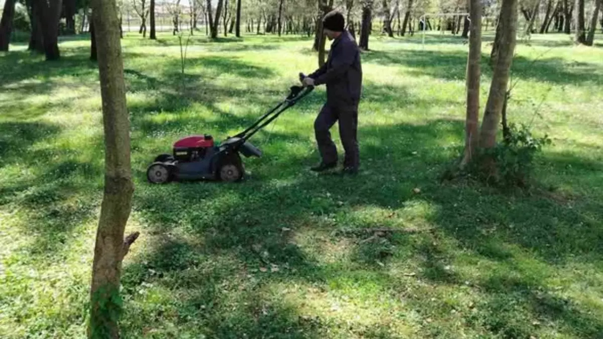683652353 4399878923613733 81916120651669696 n