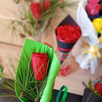 647644568 4346831858918440 7961415753473525588 n