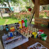 669297099 4381695395432086 1389934676322832448 n