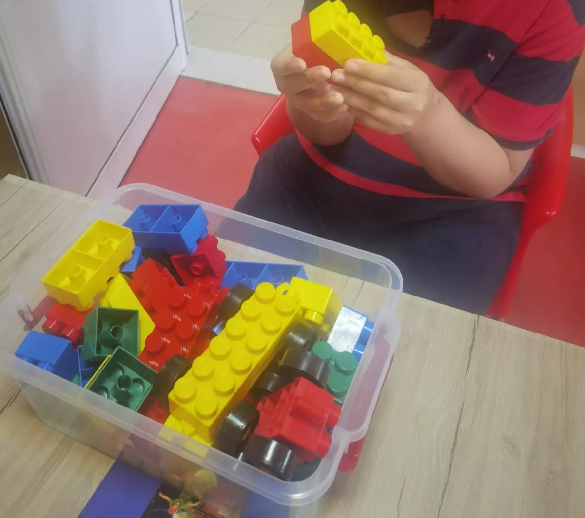 452530184 3769342326667399 8874780464928516512 n