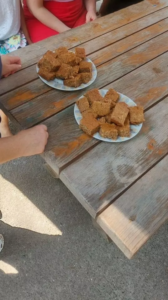 453981894 3777600709174894 6456785241125231300 n