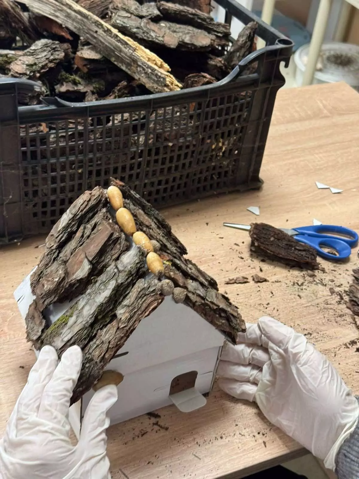 565128688 4204457159822578 3602212398449871372 n