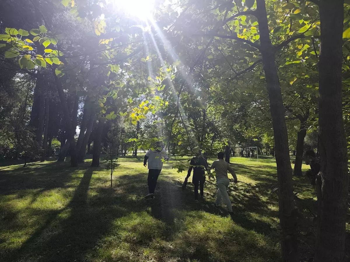 566197975 4204456876489273 3325289833234845163 n