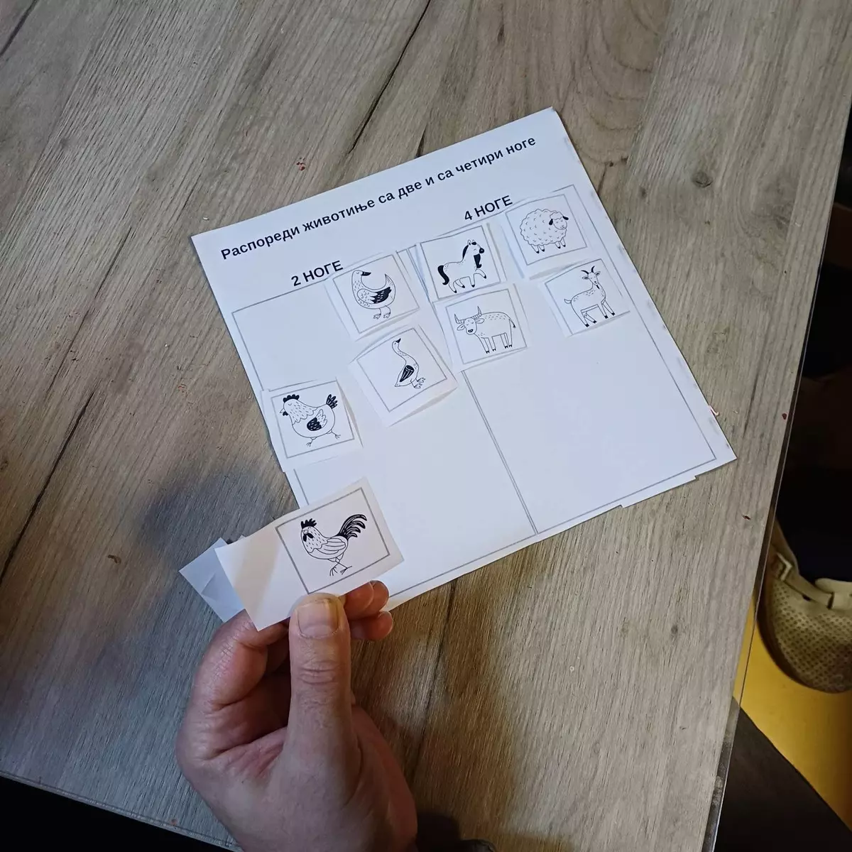 588301508 4242398069361820 1316802558151636289 n