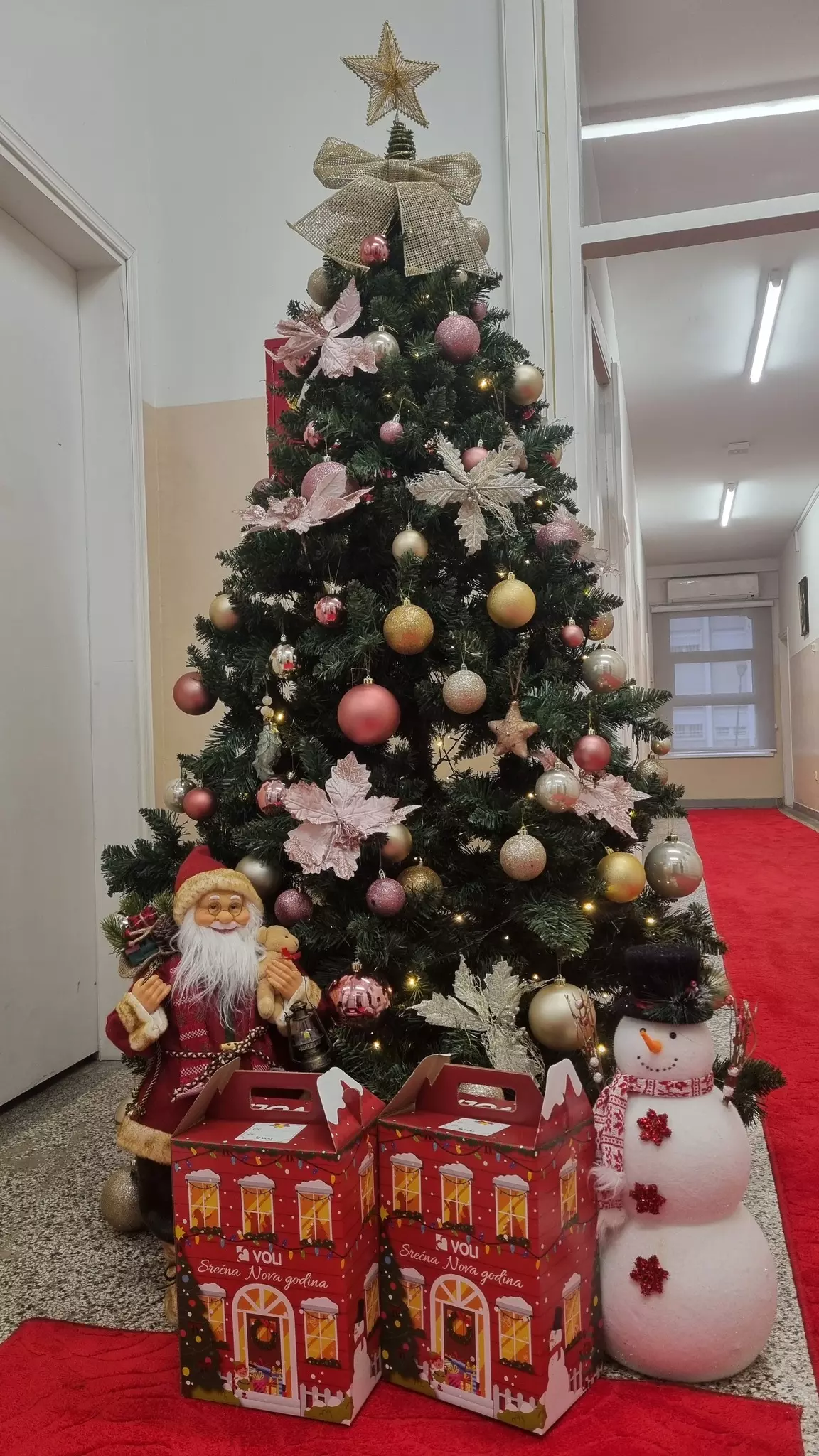 600430971 4271996336401993 3867663601575197979 n