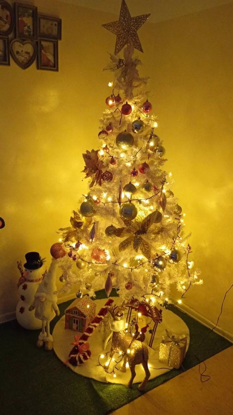 604818417 4274940589440901 8616595929117043984 n