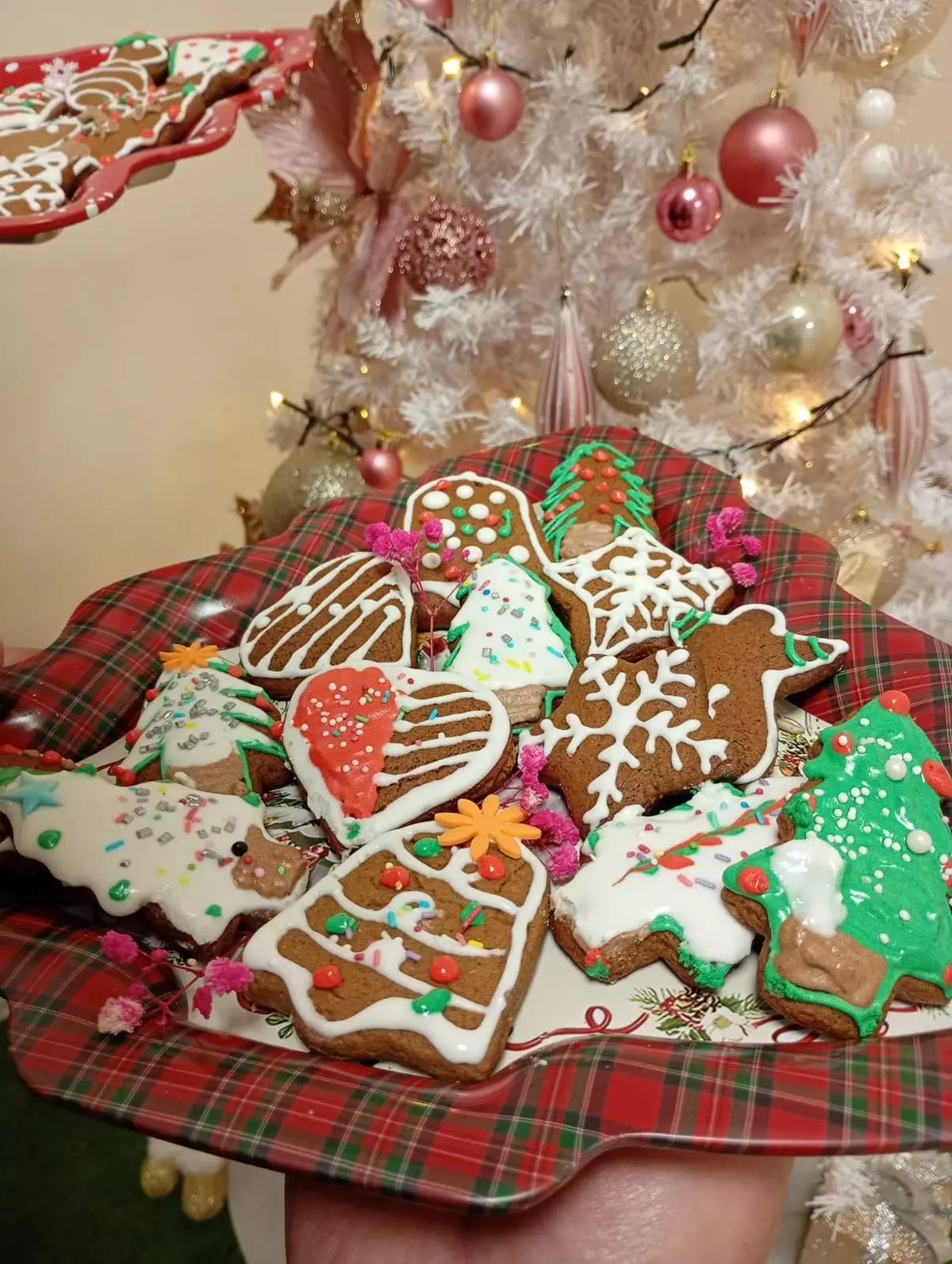 612229559 4287420234859603 5261071249188376022 n