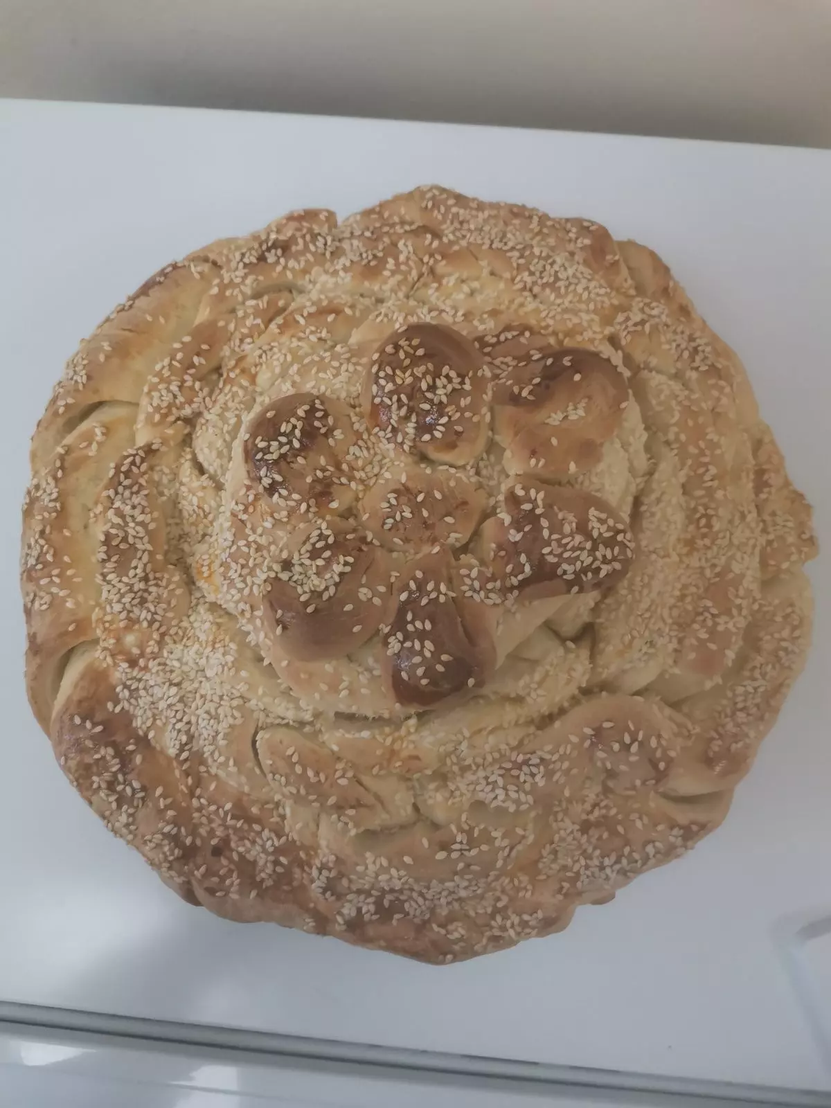 622166374 4306360442965582 2775953437326609533 n