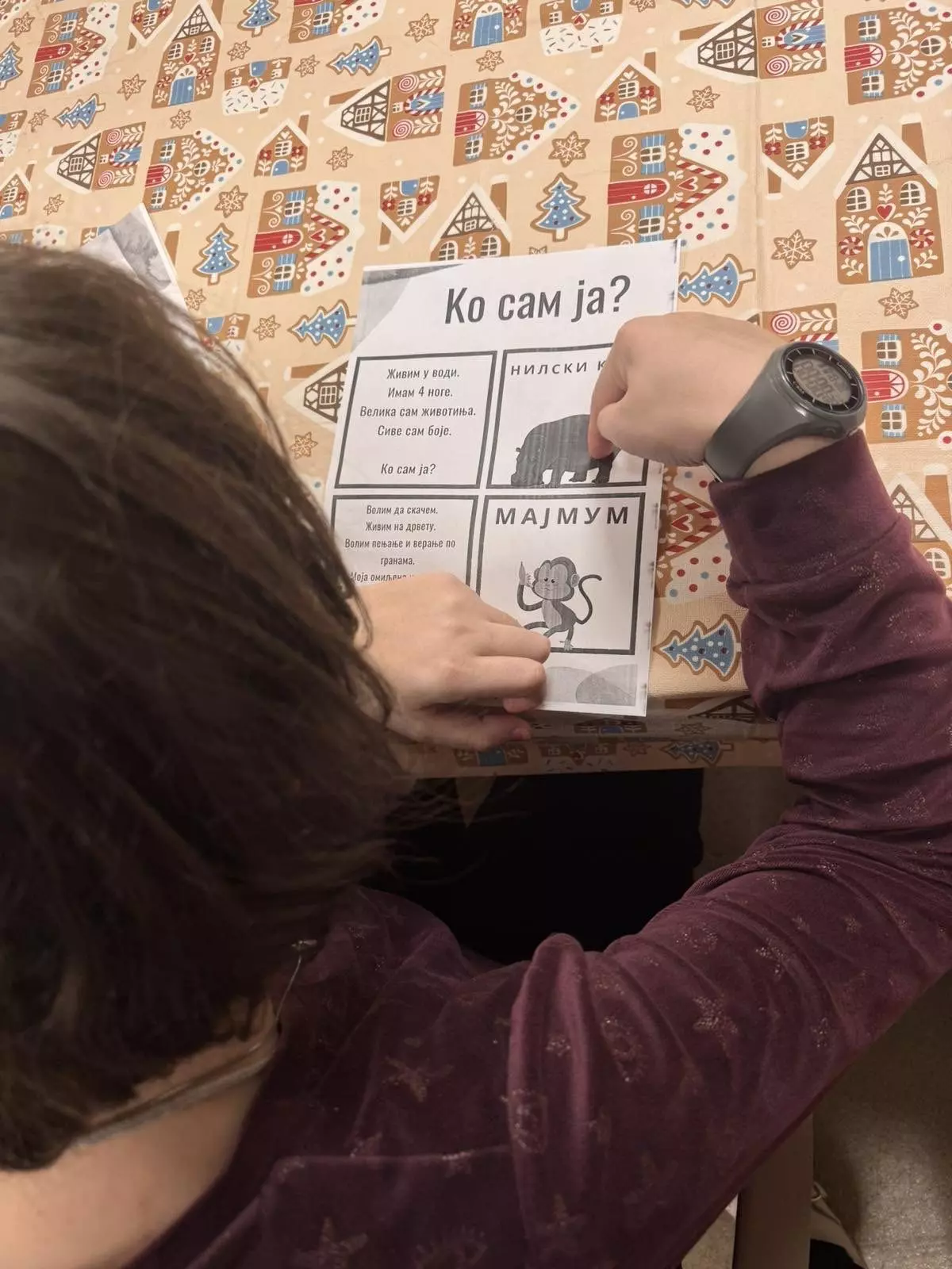 641481385 4333837853551174 2302452025072724080 n