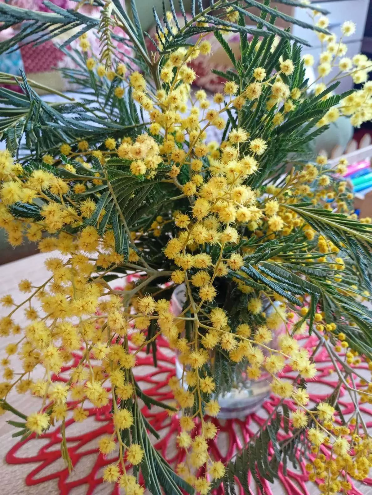 649105250 4346832122251747 5493435046329369665 n