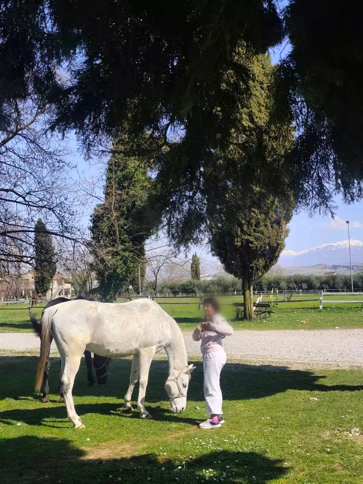 653708835 4354576161477343 4329615215465473489 n