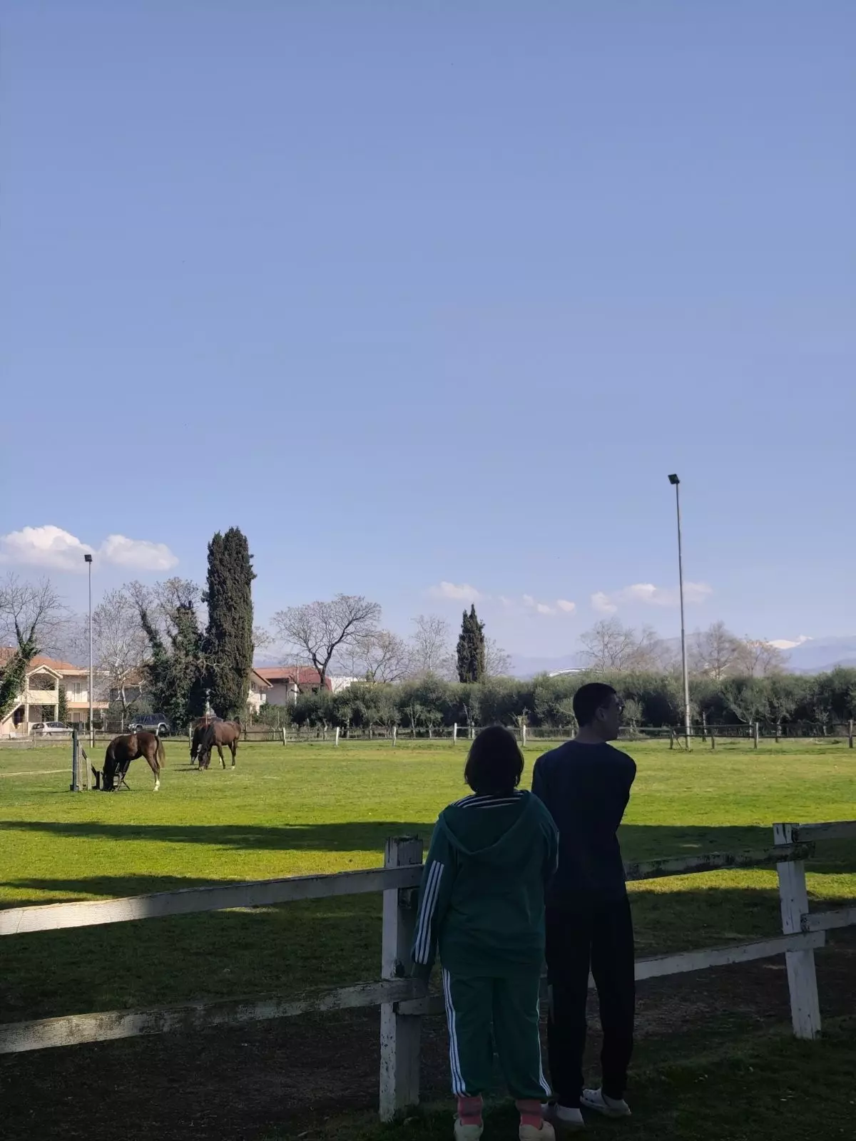 653710860 4354575664810726 5970465375528879980 n