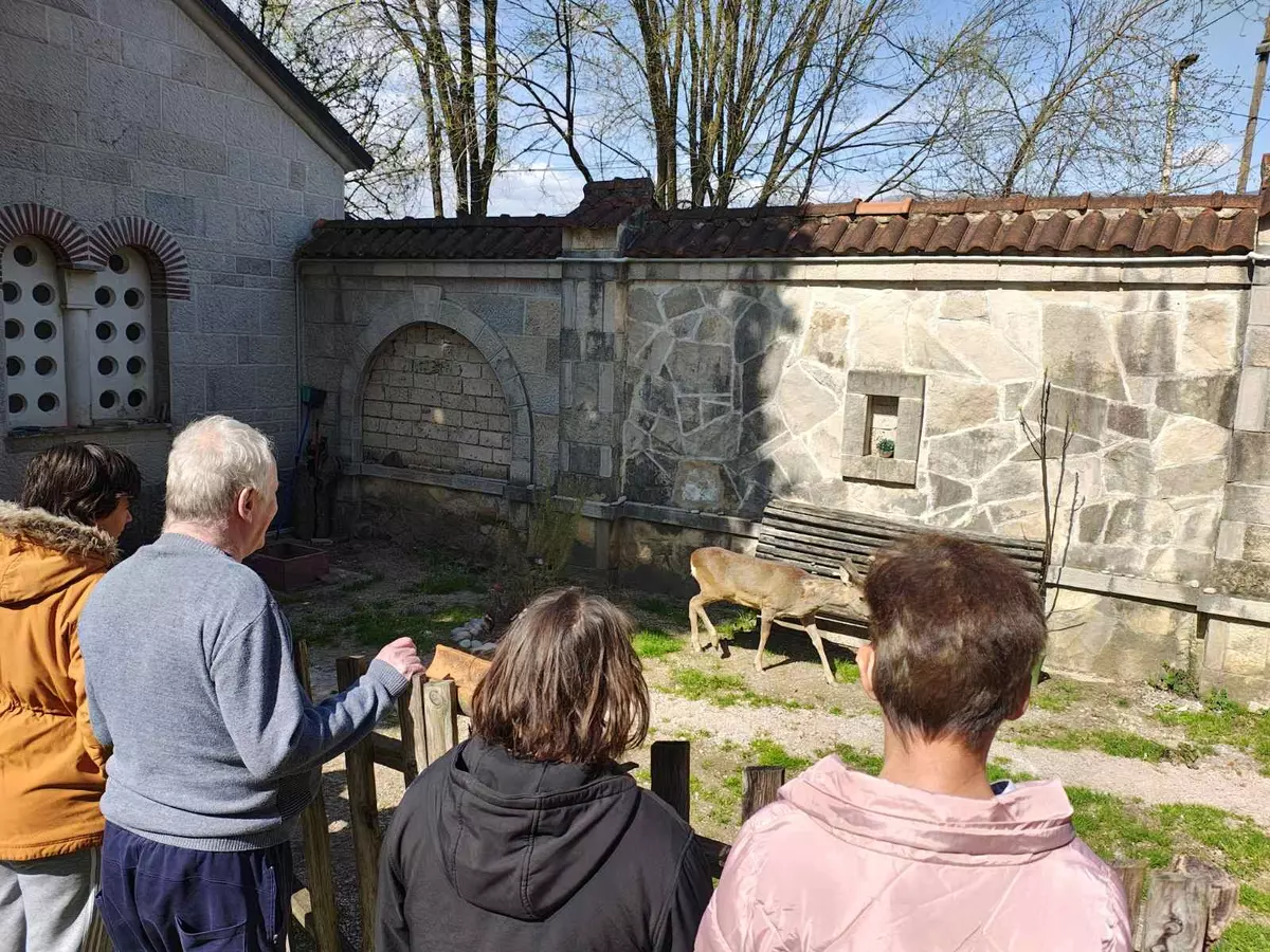 657271638 4369384469996512 7298856939233172578 n