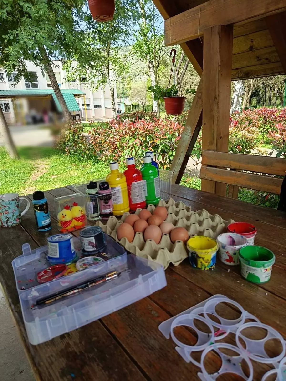 669297099 4381695395432086 1389934676322832448 n