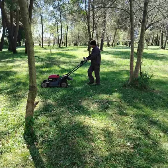 683652353 4399878923613733 81916120651669696 n